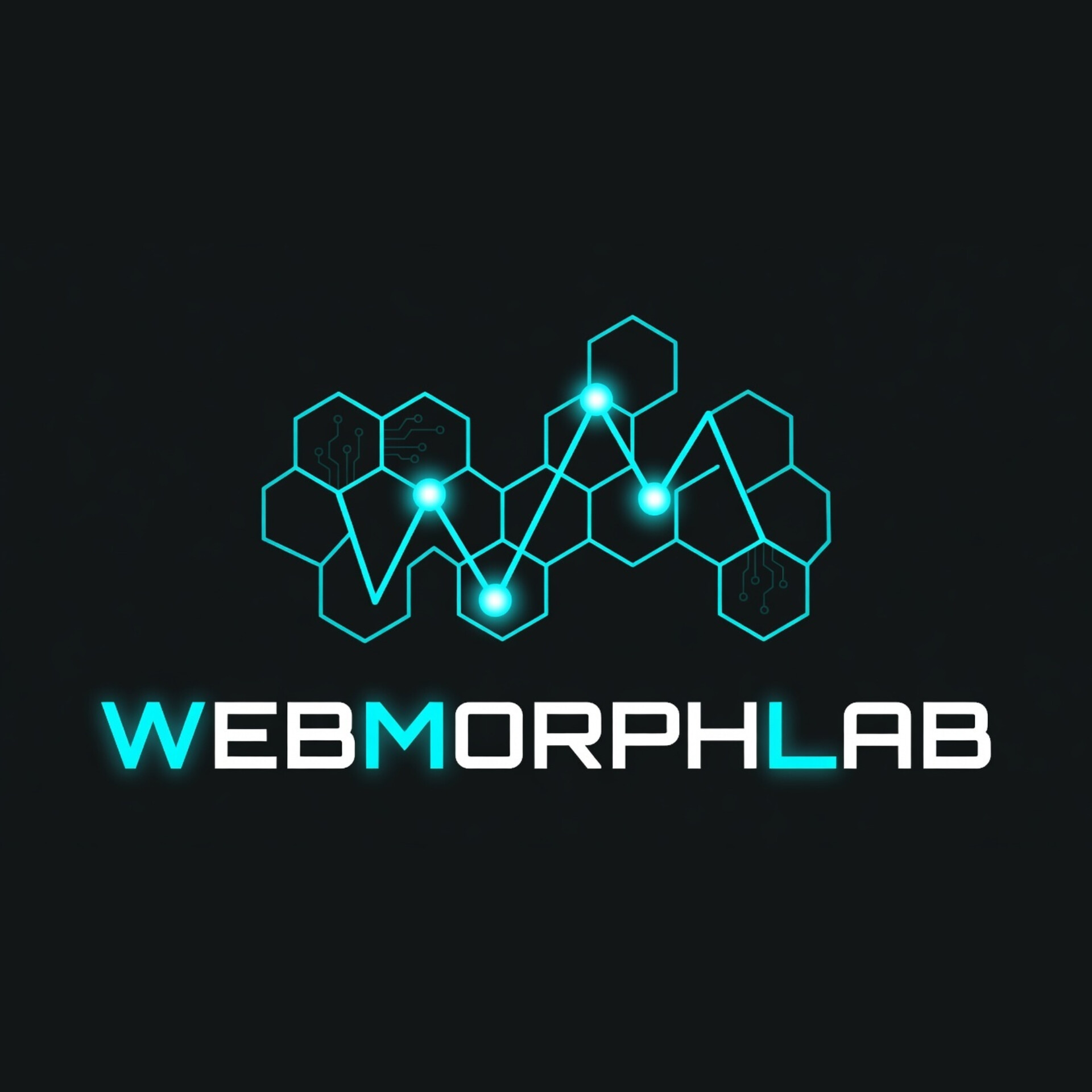 WebMorphLab logo